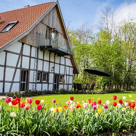 Mit Sauna „eschblick“